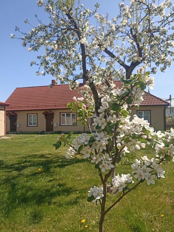 Vingi Apartment 12 Parnawa Zewnętrze zdjęcie